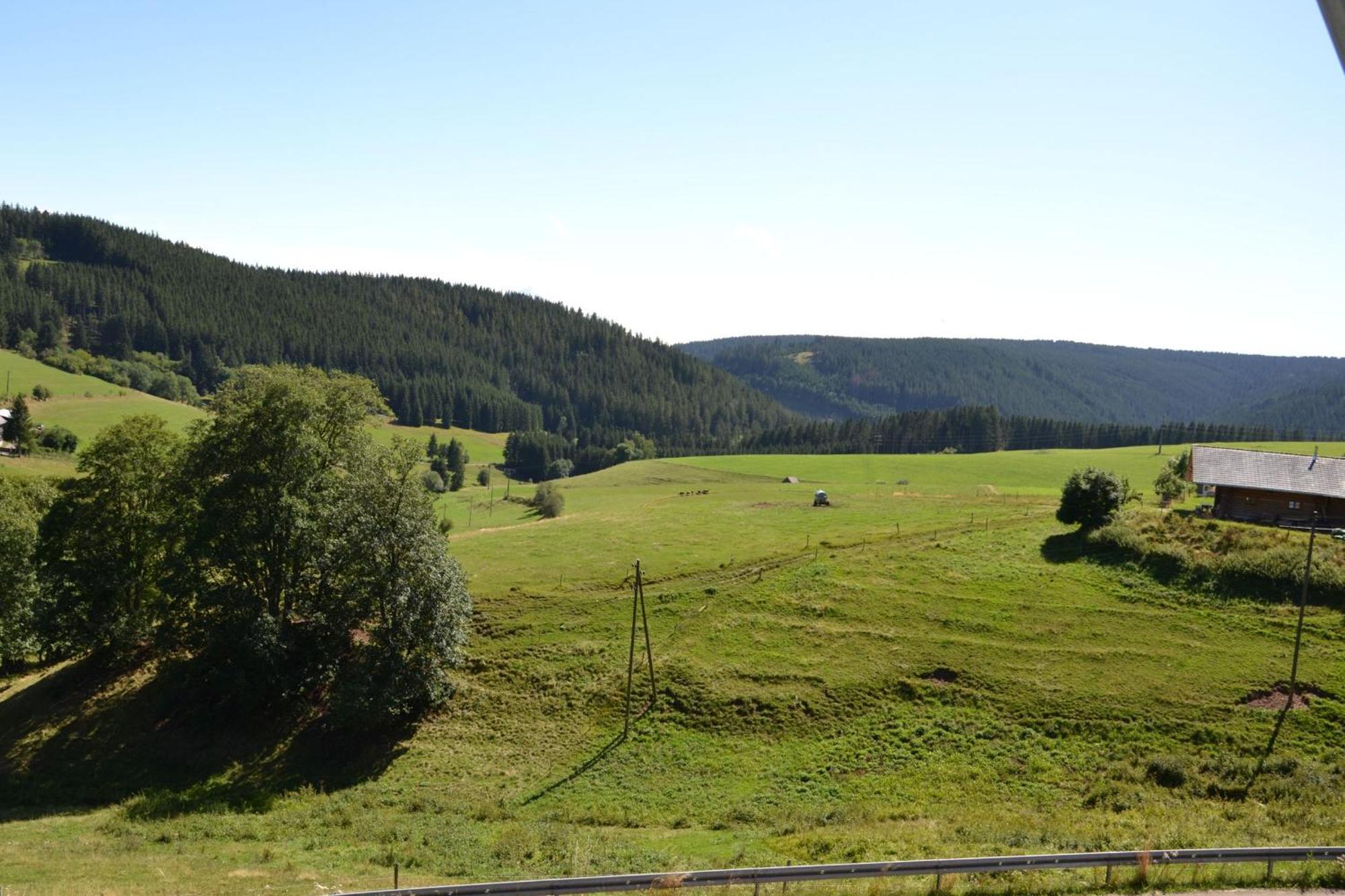 Ferienwohnung Beim Pauli Titisee-Neustadt Kültér fotó